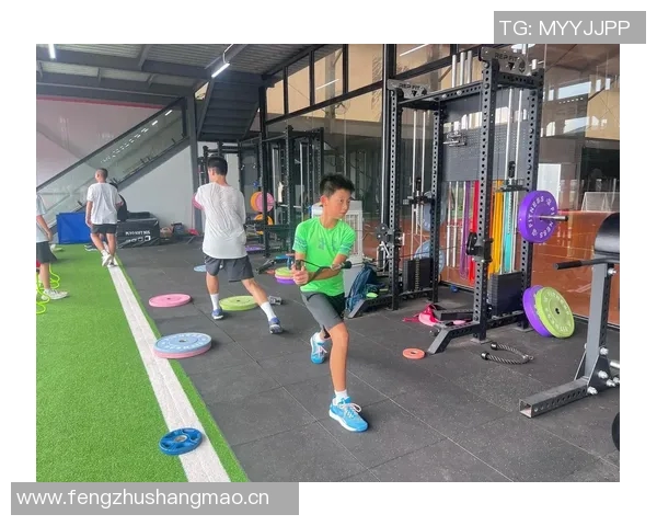 以体能为核心打造健康生活方式 提升体力与运动表现的科学方法与实践 以体能为核心打造健康生活方式 提升体力与运动表现的科学方法与实践